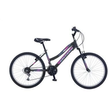 Salcano Excel S Lady 24 V (Mare 24) 21 Vites V Fren Dağ Bisikleti