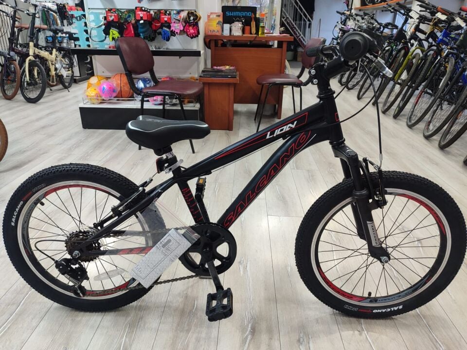 Salcano Lion 20 Jant Vitesli Erkek Çocuk Bisikleti